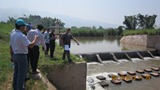 Nam Dai Irrigation Weir