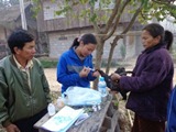 Chicken Raisning Demonstration in Nam Beng and Nam Mao Irrigation Subproject (Oudomxay)