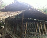 Chicken House Constructed in Mongchao - Komaene subproject (Feb. 2013), Phongsaly Province