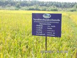 Nam Dai (V)(VI) Irrigation subproject
