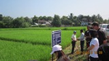SRI Demostration in Nam Haad subproject - Bokeo Province